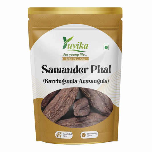 SamanderPhal