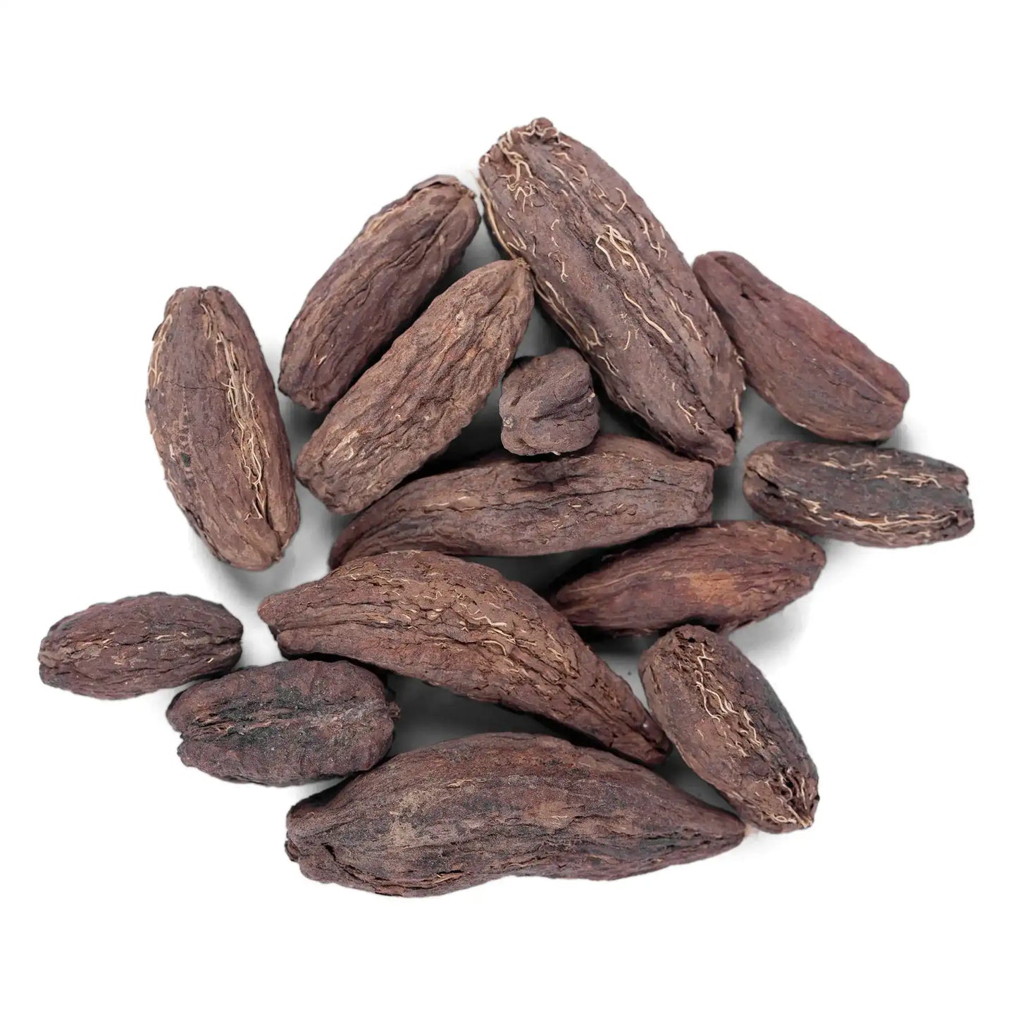 Yuvika Samander Phal