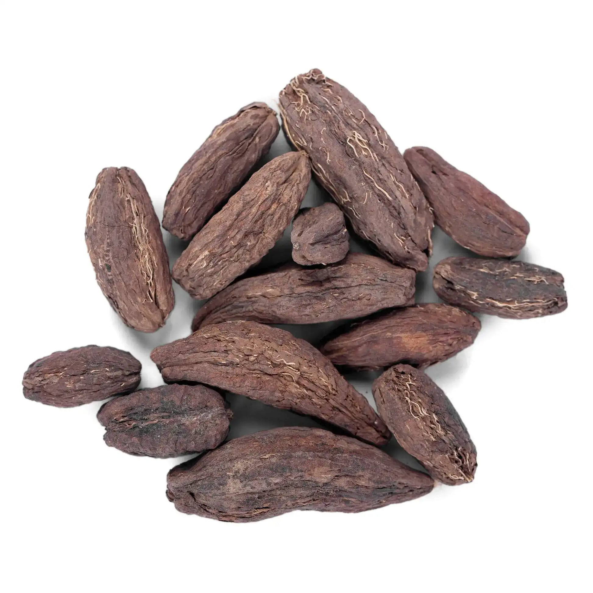 Yuvika Samander Phal