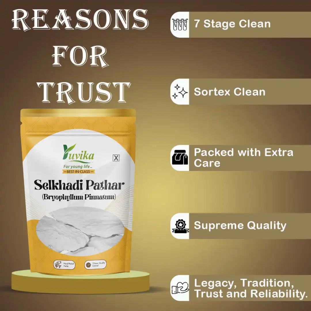 SelkhadiPathar