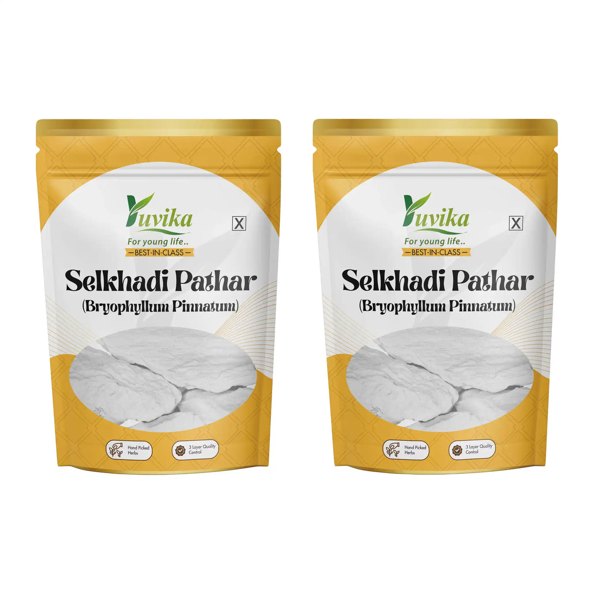 Selkhadi Pathar - Selkhari - Ghiya Pathar - Bryophyllum Pinnatum ...