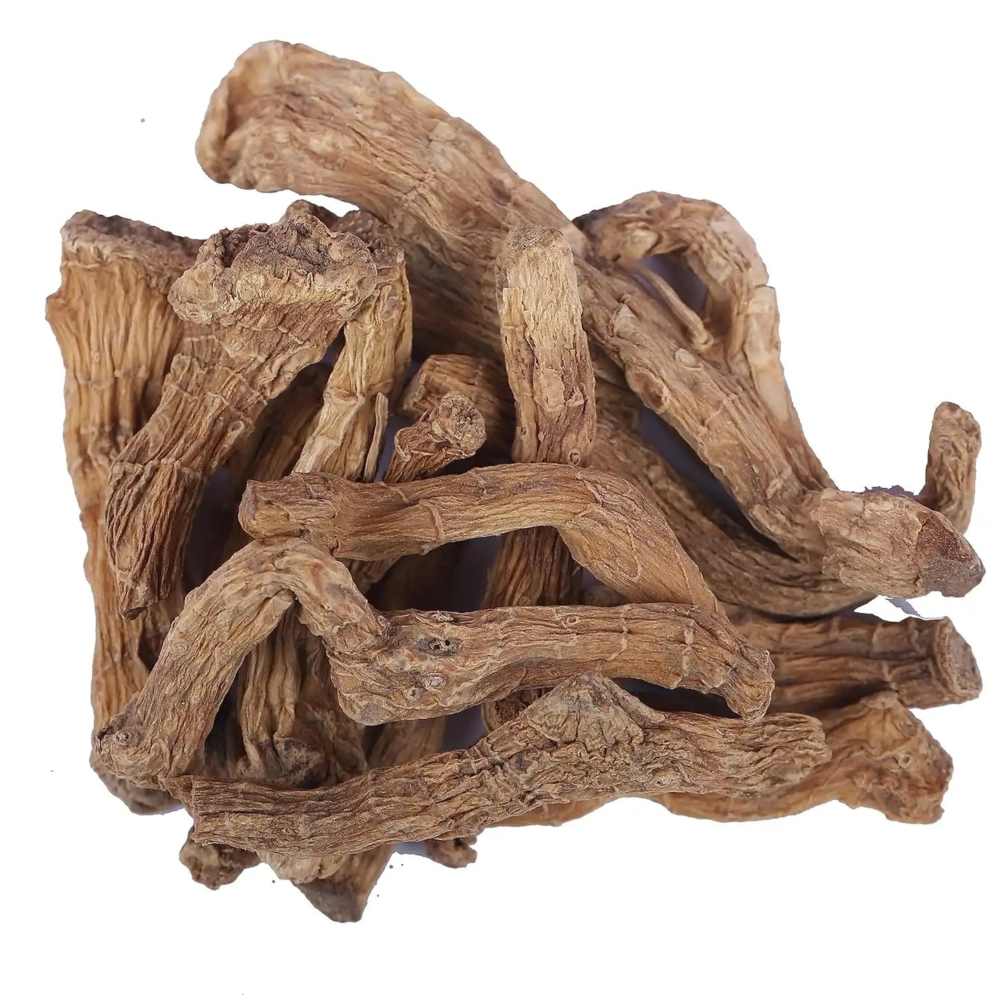 Yuvika Shakakul Mishri