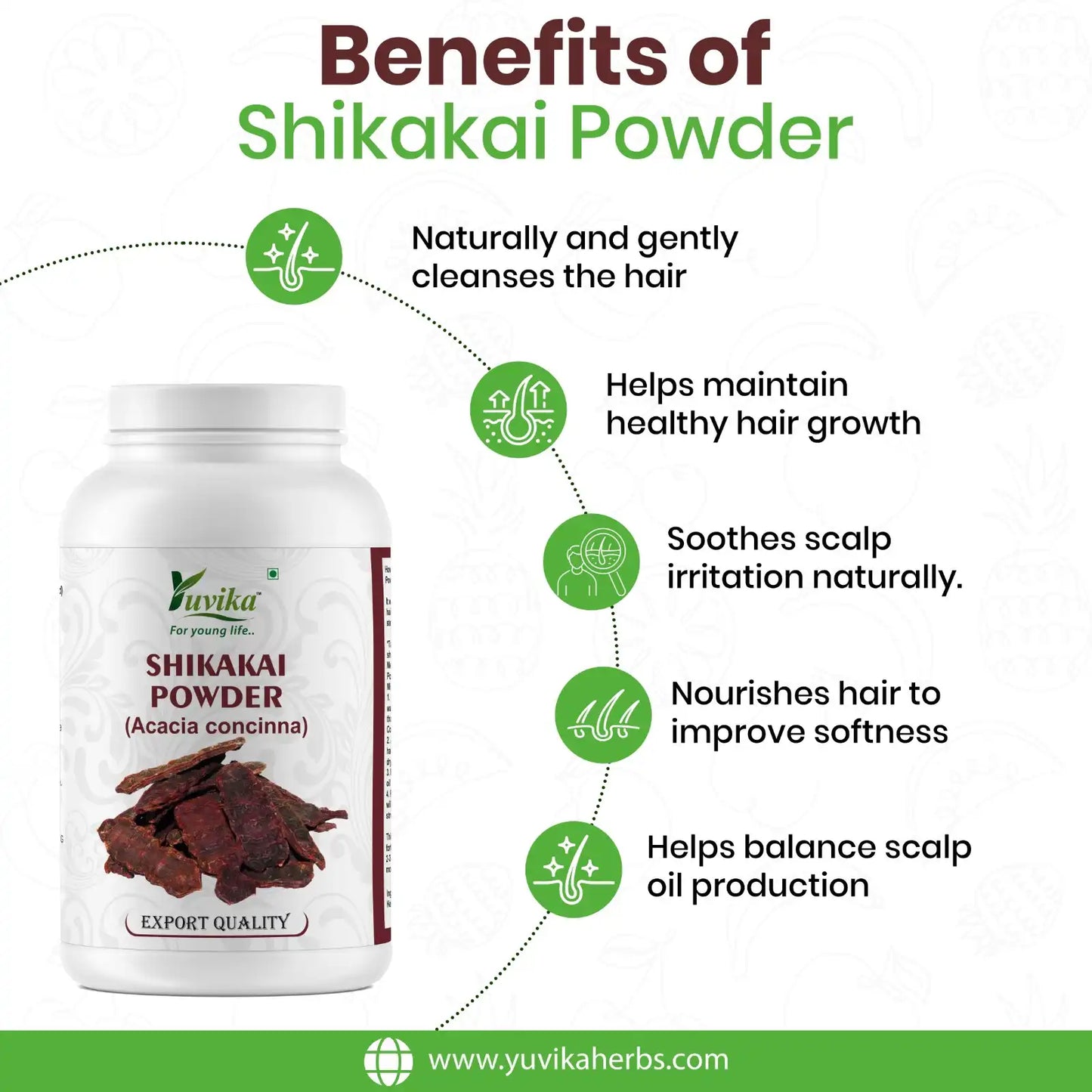 Shikakai Powder