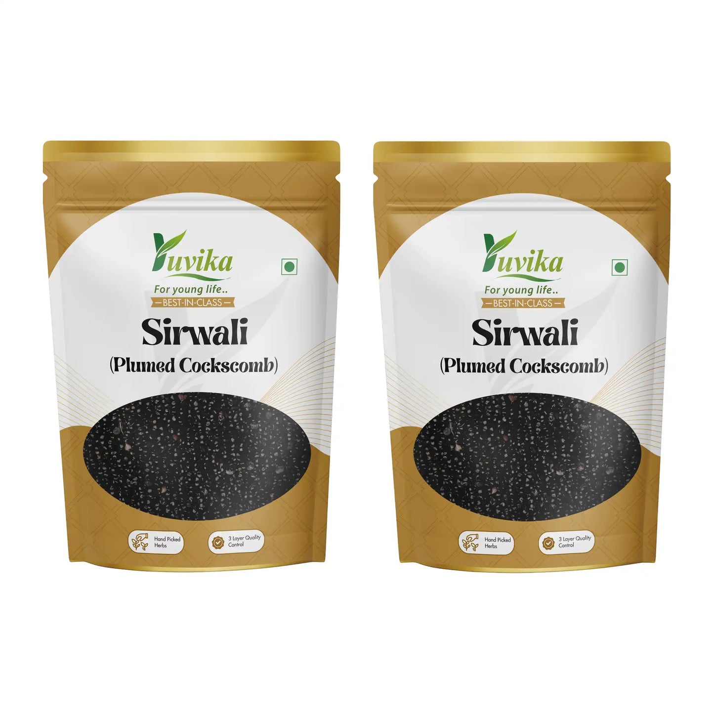 Sirwali -  Shirwali - Plumed Cockscomb
