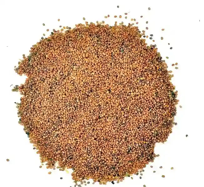 Yuvika Taramira Seeds