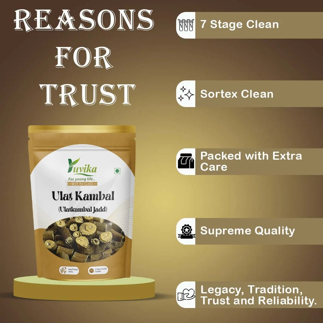 Ulat Kambal 2