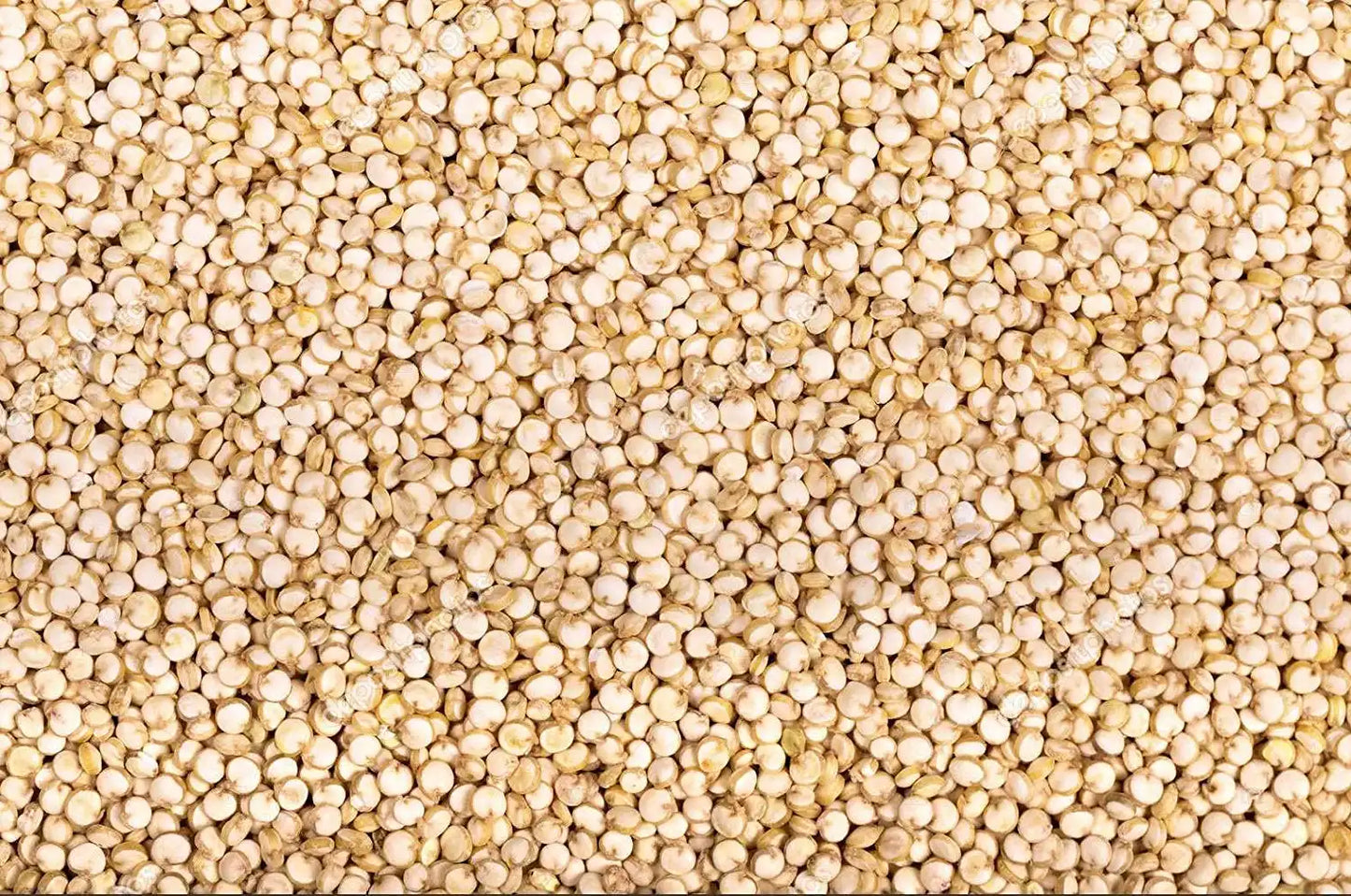 Yuvika White Quinoa Seeds