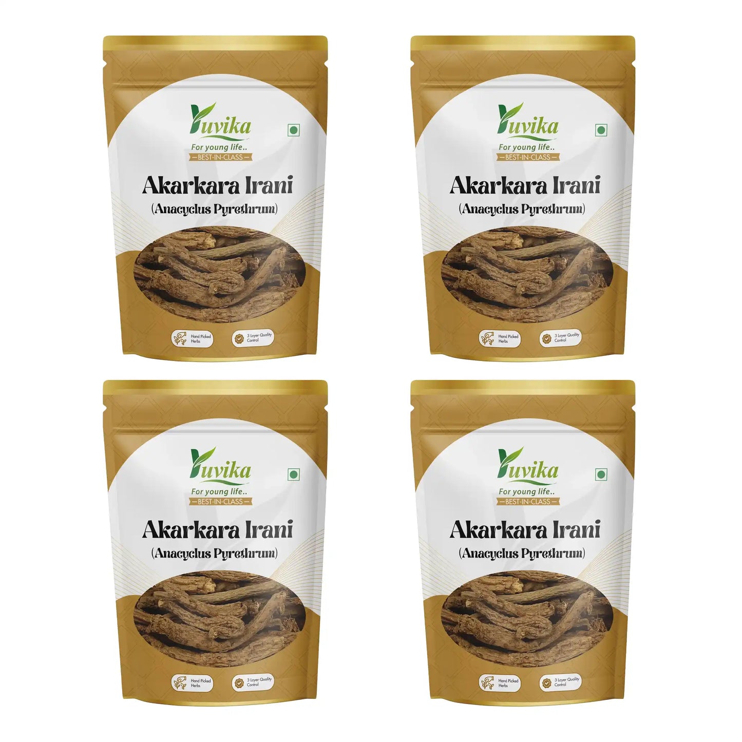 Akarkara Irani - Anacyclus Pyrethrum - Pellitory Root