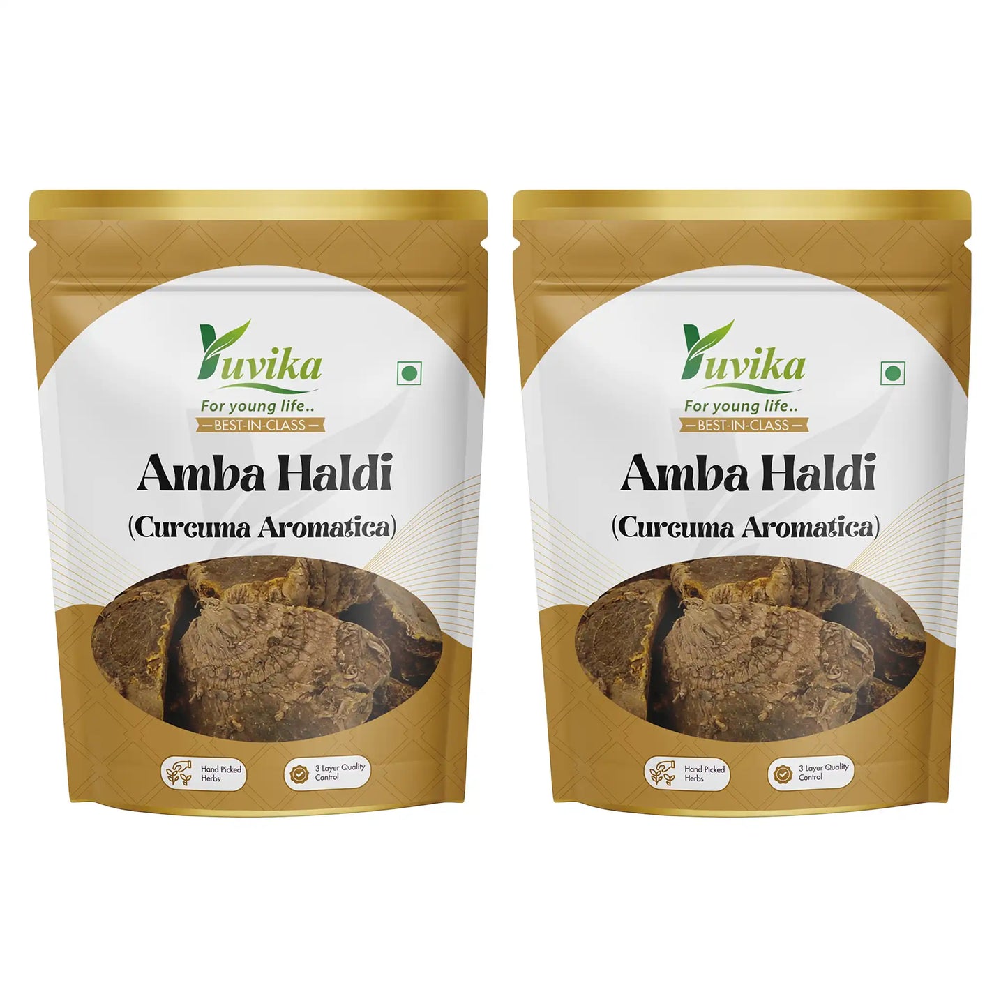 Amba Haldi - Jangli Haldi - Curcuma Aromatica - Wild Turmeric