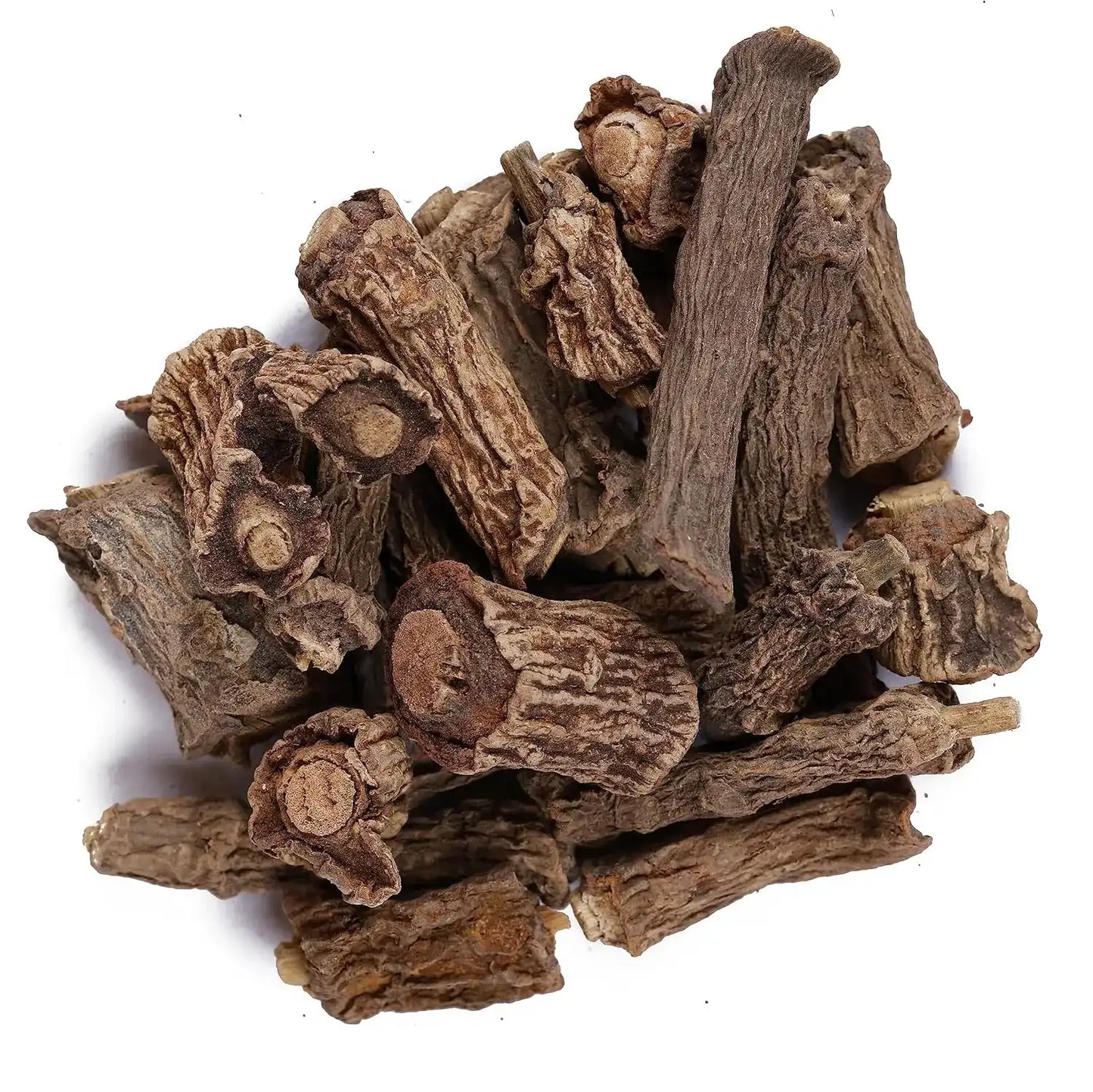 Yuvika Anantmool Madrasi