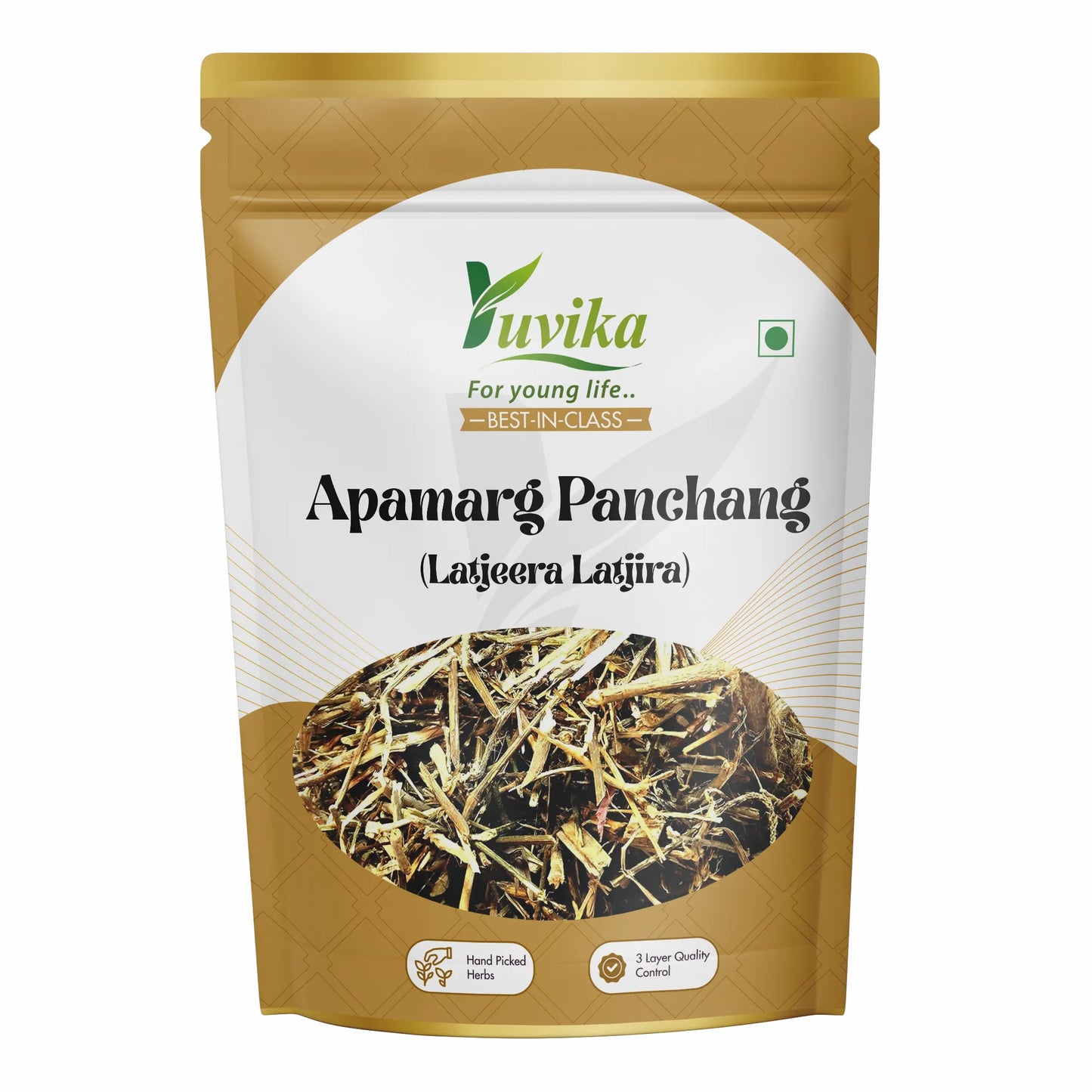 Apamarg Panchang