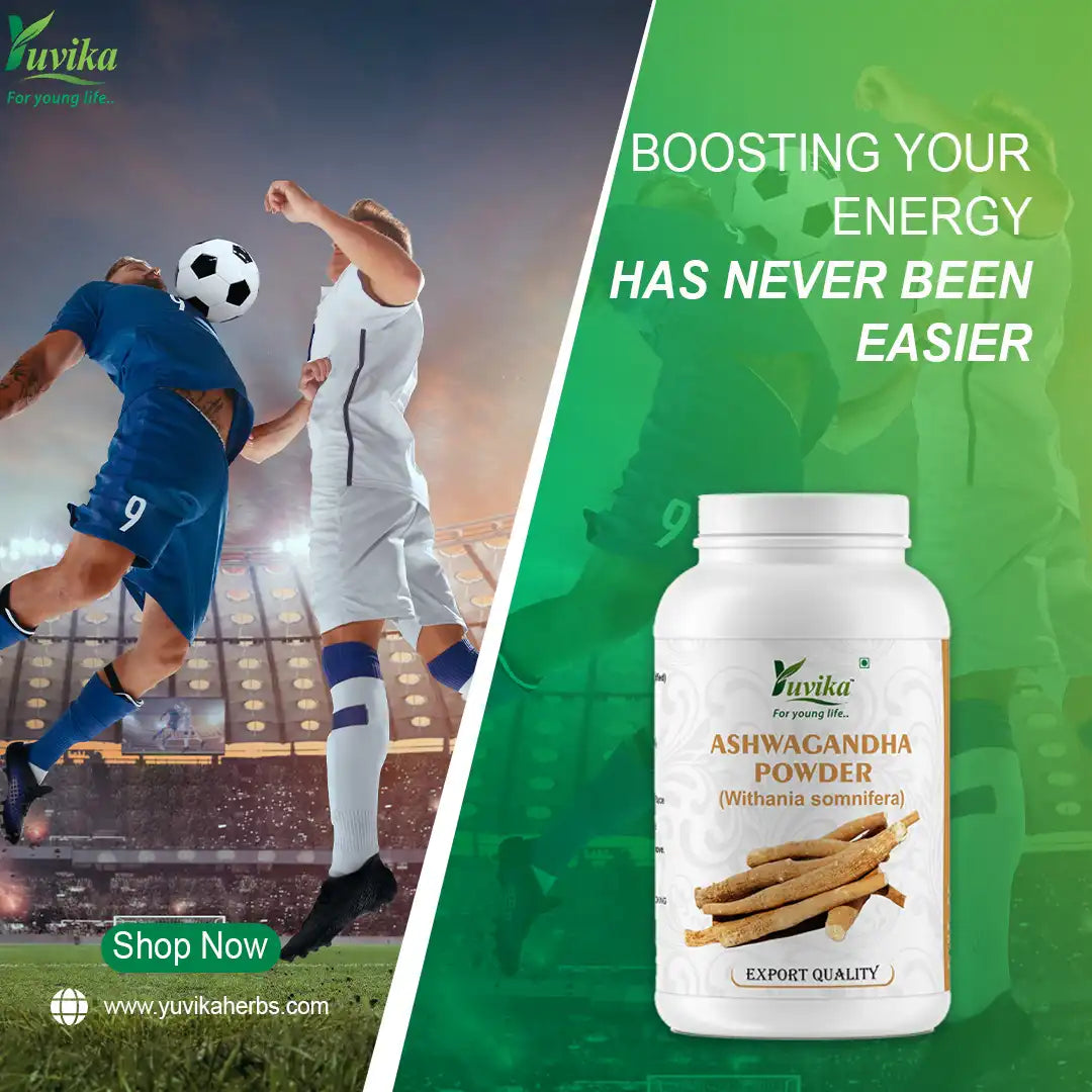 Yuvika Ashwagandha Powder - Asgandh Powder - Withania Somnifera (100g)