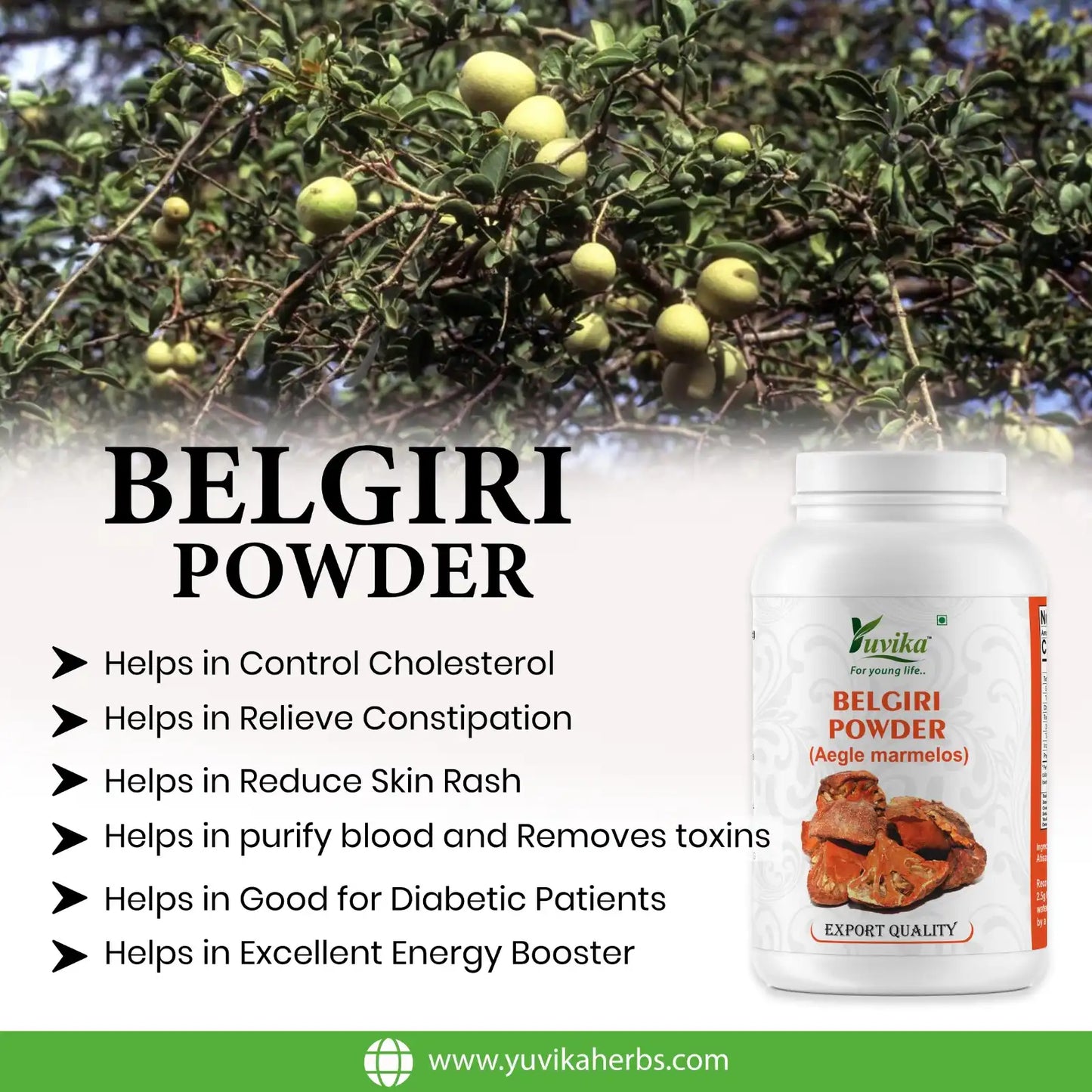 Belgiri Powder