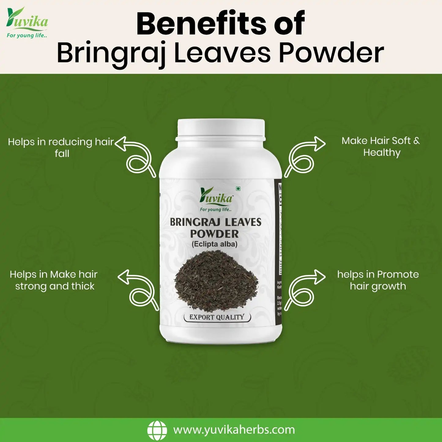 Bringraj Leaves Powder