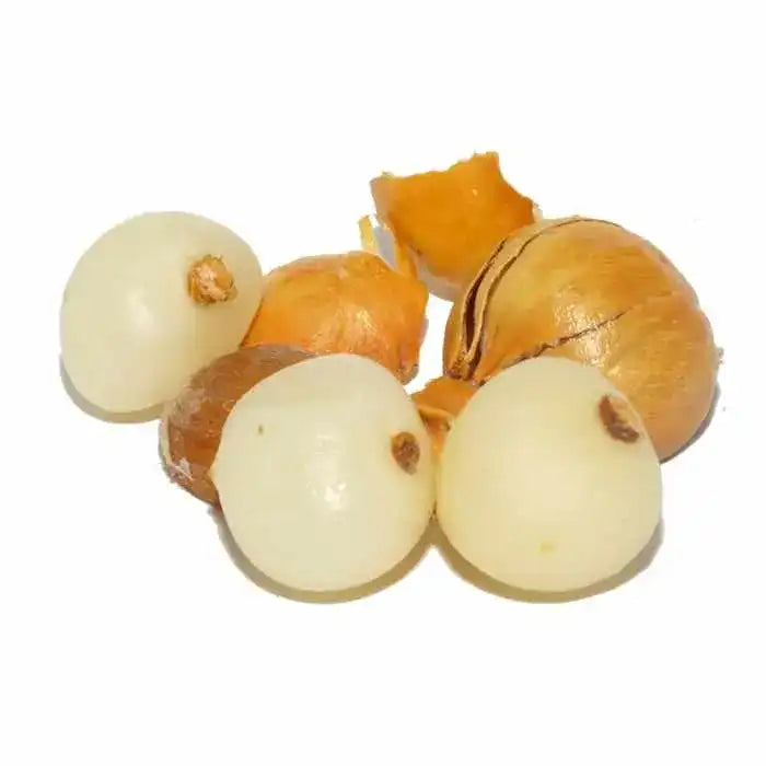 Yuvika Kashmiri Lehsun