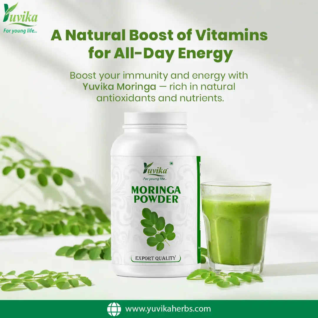 Moringa Leaves Powder - Moringa Oleifera - Sohjana Patti Powder (100g ...
